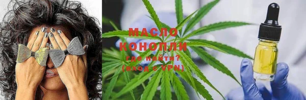 стаф Каменногорск