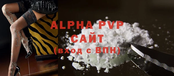 стаф Каменногорск