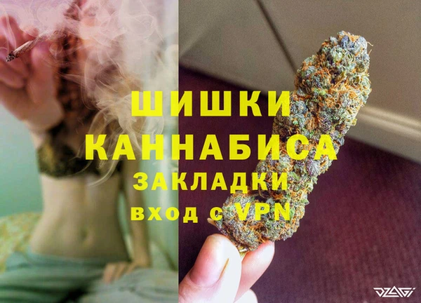 стаф Каменногорск