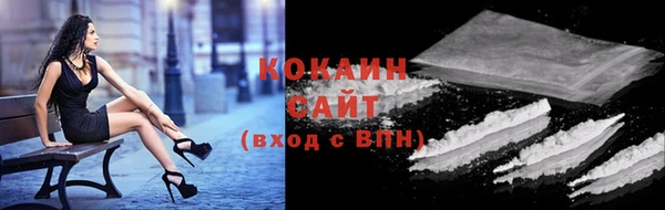 стаф Каменногорск