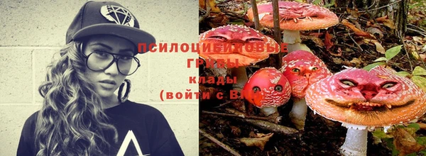 кристаллы Каменка