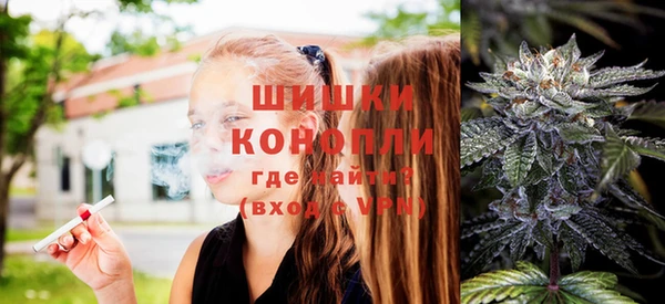 стаф Каменногорск