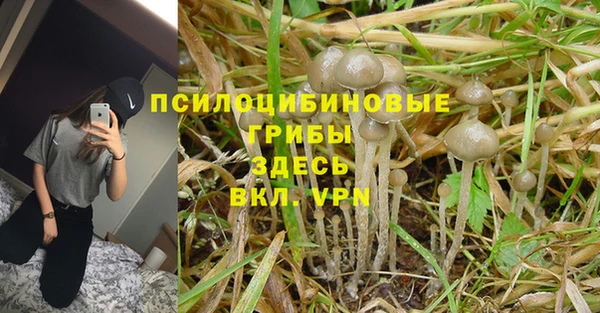 кристаллы Каменка