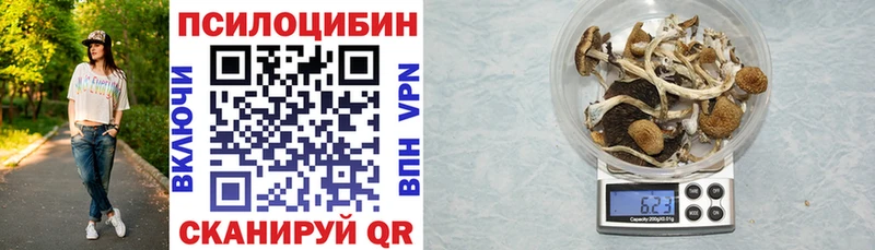 Псилоцибиновые грибы Magic Shrooms  Купить  Реж 
